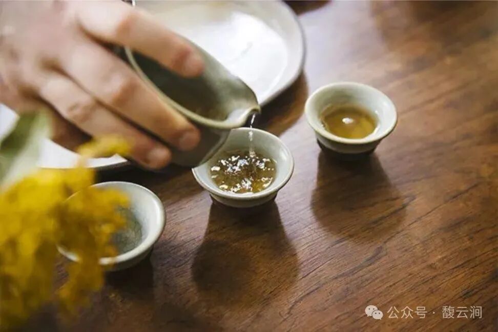 春天喝茶，好处多多